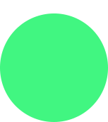 Software Development